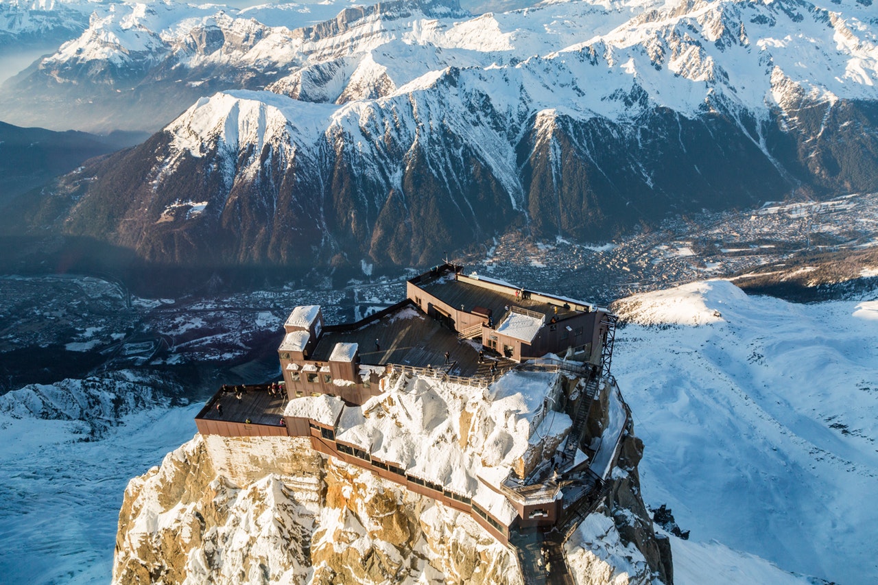Almenrausch im Ortlergebiet in Südtirol